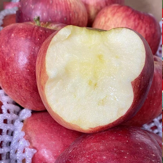 云南昭通高原冰糖心丑苹果脆甜多汁 商品图7