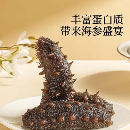 【正宗同仁堂品牌】北京同仁堂 青源堂  淡干海参250克  高蛋白高营养SY 商品图3