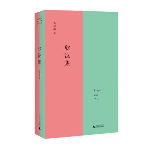 欣泣集 彭剑斌/著 短篇小说 卡夫卡 青春迷惘  自我揭露  文学 不检点与倍缠绵书 广西师范大学出版社 商品图1