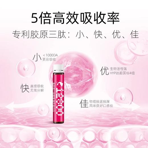 全线精致鱼胶原三肽弹性蛋白饮 50ml/支*10支/盒 商品图2