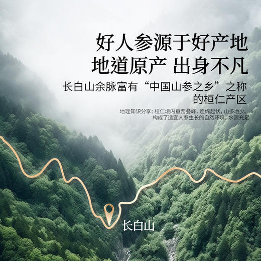 【正宗同仁堂品牌】北京同仁堂  青源堂  人参片35克X4瓶  礼盒装  产地长白山 精选主根厚切大片SY 商品图3