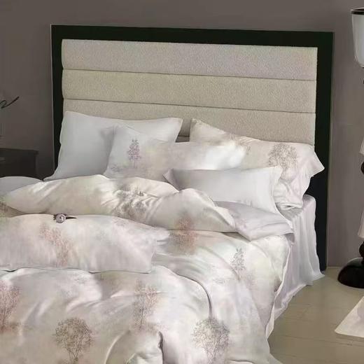 【春上新】10楼 恐龙 全棉生态印花四件套 云雾-灰 200*230cm   吊牌价1580元    活动价399元 商品图0