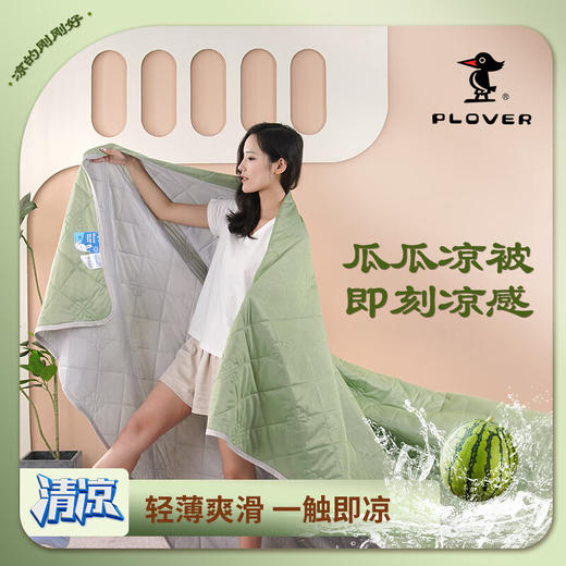 PLOVER啄木鸟(PLOVER)春秋新款凉感丝夏被 商品图1