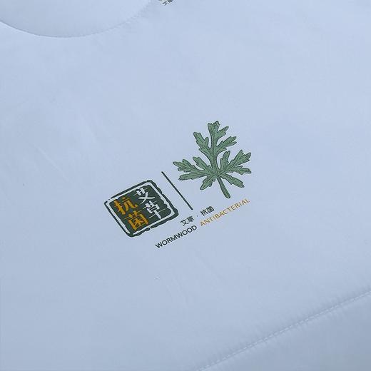 PLOVER啄木鸟家纺艾草被-夏被 天蓝色 200cm*230cm 商品图2