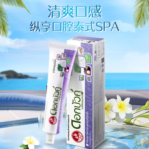 泰国双连草本牙膏清洁牙齿牙黄牙渍清新去口气护龈健齿 商品图2