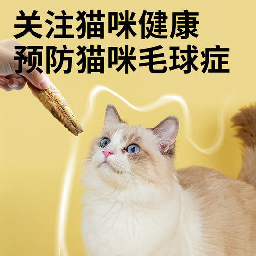 伊纳宝 烤沙丁鱼（猫用宠物零食 原味 预防毛球）16g*48/箱 商品图2