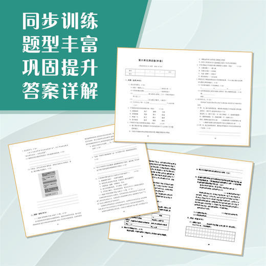 学习与评价·初中语文活页卷 九年级上册 商品图1