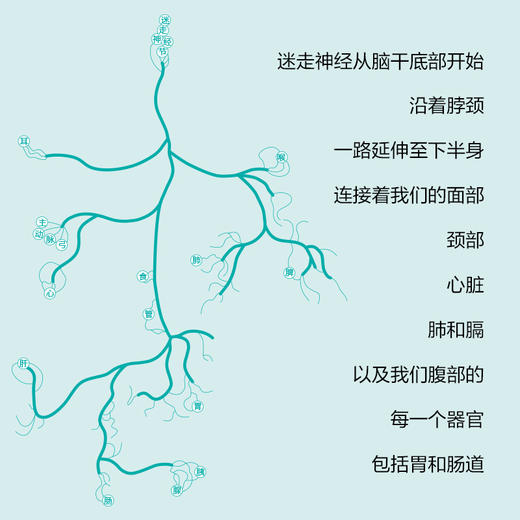 【樊登好书】加强你的迷走神经 商品图2
