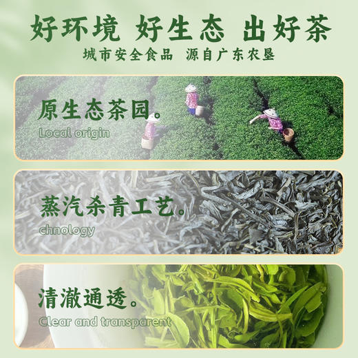 勇士250克勇士春茗绿茶 商品图1