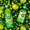 达利园青梅绿茶饮料 500ml 商品缩略图2