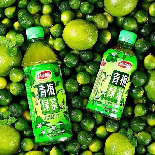 达利园青梅绿茶饮料 500ml 商品图2