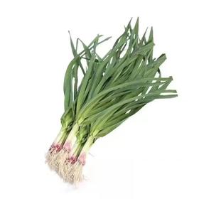 【超市】百盛鲜蔬达 蒜苗 约300g