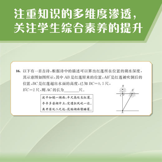 学习与评价·初中数学活页卷 九年级上册 商品图5