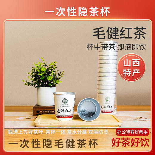 管涔仙草山西特产宁武毛健茶经典毛建红茶白色杯茶高山云雾茶便携方便即泡即饮袋装 商品图0