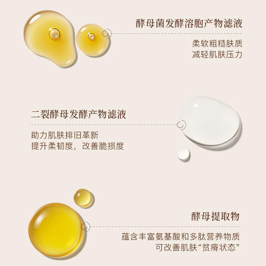 酵母红茶涂抹面膜黑茶冻膜提亮肤色水润细腻毛孔保湿滋养现货新款新品 商品图3