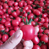 【顺丰】山东头茬千禧圣女果 清甜爽口，脆嫩多汁 商品缩略图1