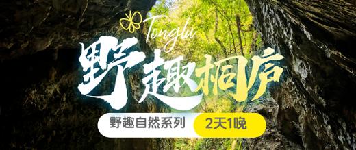 清明桐庐2日亲子，纪龙山探洞溜索，畲族换装长桌宴，马岭古道手作青团 ，入住富春江边5钻酒店 商品图0