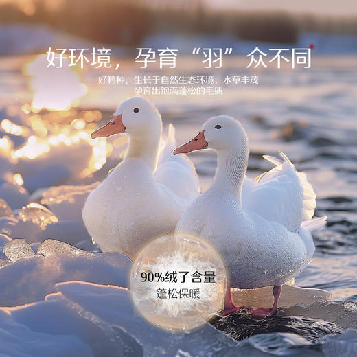 水星家纺A类羽绒被 商品图3