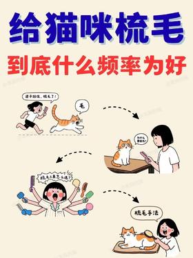 给猫梳毛一天几次更合适？不是越多越好！