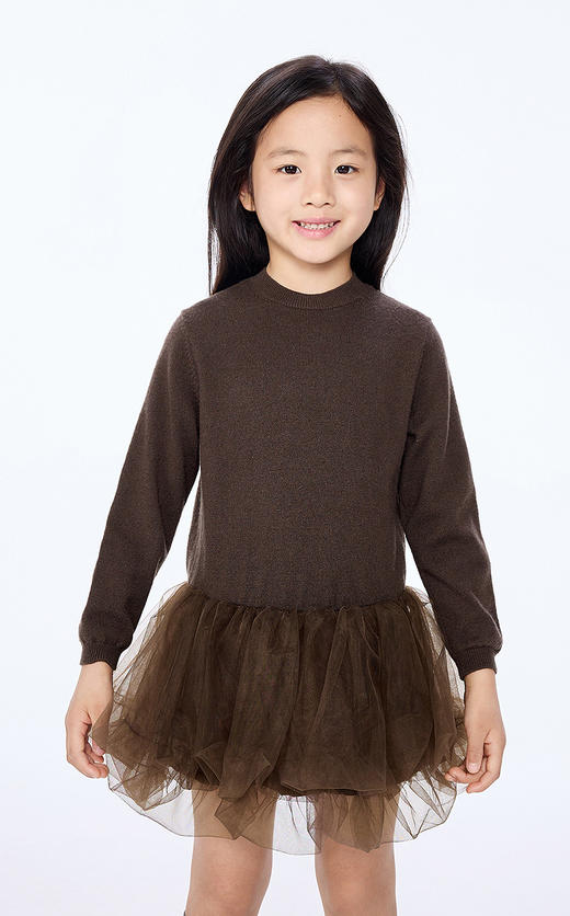 jnby   25年秋款  长袖毛衫连衣裙  1P0G13470 商品图6