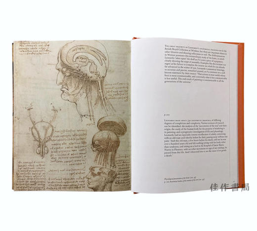 Leonardo in Detail(the Portable Edition) / 达芬奇的细节（口袋版） 商品图2
