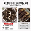 【头茬短柄肉厚】在菌屋 云南短柄羊肚菌干货50g/袋 精选6-8公分大个头 仿野生种植 肉厚无沙 菌香浓郁 商品缩略图2