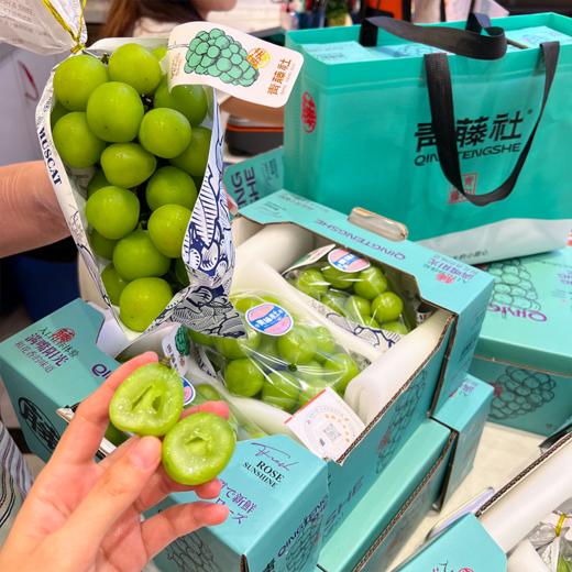 青藤社晴王阳光玫瑰青提 商品图7