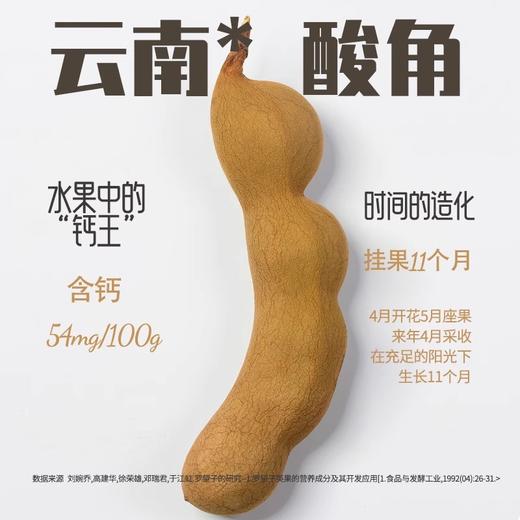 猫哆哩原味苏打水汽水330ml云南特产0脂0糖0卡12罐 商品图2