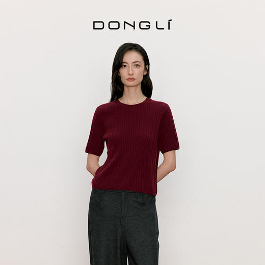 东黎 • 我不被驯化 小山羊绒女士秋季绞花半袖 5516 商品图9