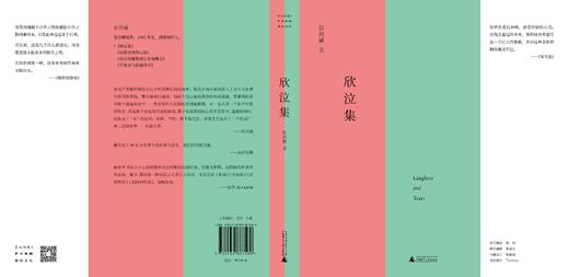 欣泣集 彭剑斌/著 短篇小说 卡夫卡 青春迷惘  自我揭露  文学 不检点与倍缠绵书 广西师范大学出版社 商品图4