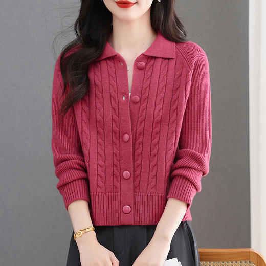 CC翻领绞花毛衣开衫外套女士春秋季2025新款气质外搭短款针织衫上衣 商品图2