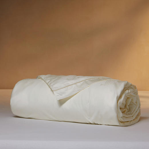 多喜爱 韵雅悠然桑蚕丝被/冬被/子母被系列【100%桑蚕丝】【60S天丝棉面料】【内外双A类】【金银提花工艺】多款厚度 四季通用 珍珠烫钻 拉链设计  40CM大检测口 商品图5