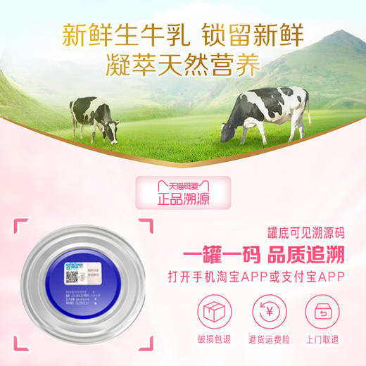 贝因美爱加孕妇粉叶酸孕早中晚期乳铁蛋白189g 商品图5