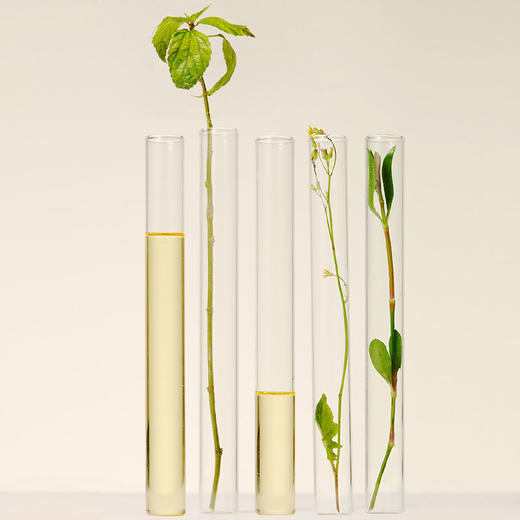 安野屋植萃香氛护手霜小礼盒纪念日百货门店同款165843663 商品图1