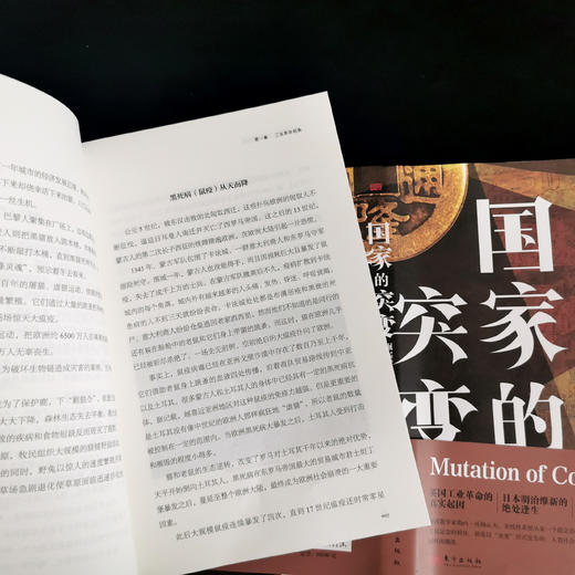 国家的突变：崛起背后的经济逻辑 商品图4