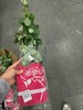 佰盛美曼塔 商品缩略图2