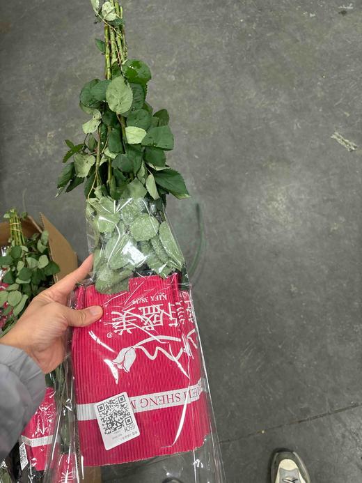 佰盛美曼塔 商品图2