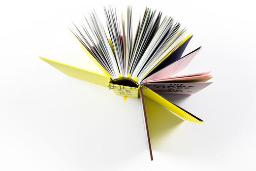 The Many Lives of Erik Kessels / 埃里克·凯塞尔斯的多元人生 商品图1