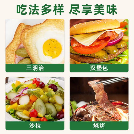 【中欧班列精选】俄式莎莉雅酸甜脆爽腌酸即食乳黄瓜330g/罐 商品图4