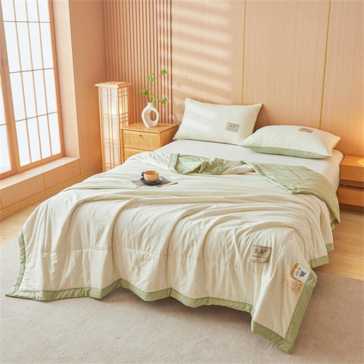 PLOVER啄木鸟(PLOVER)7A抗菌夏凉被ZMN-XB028 （180*200CM） 180*220CM 商品图2