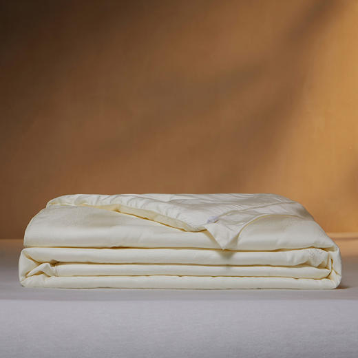 多喜爱 韵雅悠然桑蚕丝被/冬被/子母被系列【100%桑蚕丝】【60S天丝棉面料】【内外双A类】【金银提花工艺】多款厚度 四季通用 珍珠烫钻 拉链设计  40CM大检测口 商品图6