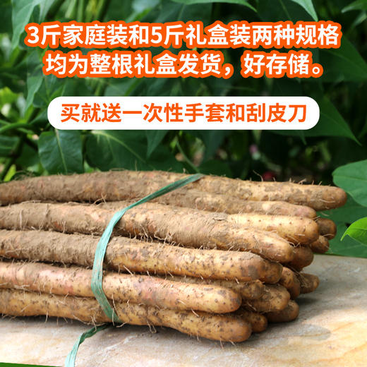 【送礼必备】密农人家白玉山药礼盒  小白嘴山药  皮薄肉糯  拍下送刮皮刀+一次性手套   3斤/5斤 商品图9