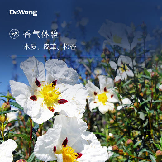 岩玫瑰 单方精油 商品图1