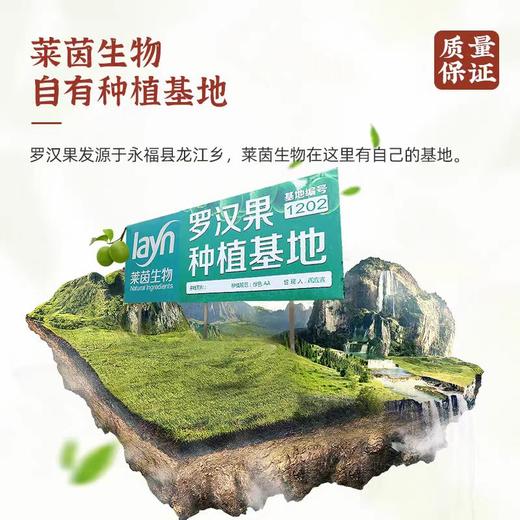 神果物语 永福黄金罗汉果 果肉鲜白 果肉饱满 12枚*1盒 商品图1