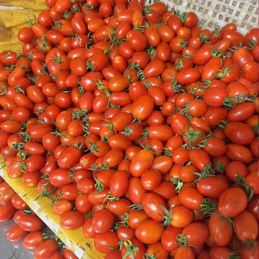 【顺丰】山东头茬千禧圣女果 清甜爽口，脆嫩多汁 商品图3