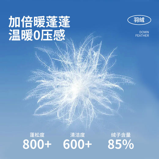 贝贝怡冬季女童羽绒外套ZB4ES007 商品图5