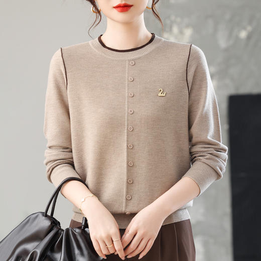 CC女士早秋薄款上衣撞色边圆领针织衫洋气秋装2025新款打底毛衣 商品图1