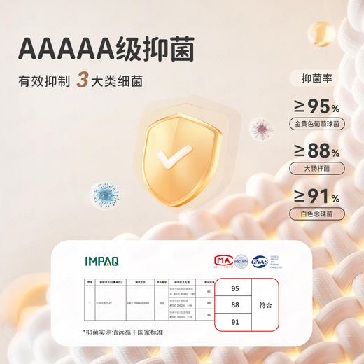 【加绒】【90-140】【 MQDmini】男女童冬款加绒打底衫长袖T恤 商品图9