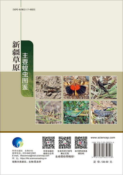 新疆草原主要蝗虫图鉴 商品图1