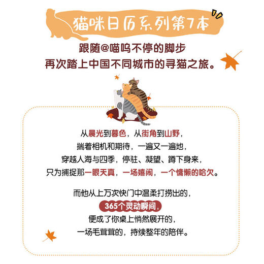 预售 预计10月初发货 爱猫无忧 喵呜不停2026日历 猫咪日历2026年街猫日历全新上市365天台历可爱猫咪写真萌宠日历 商品图3